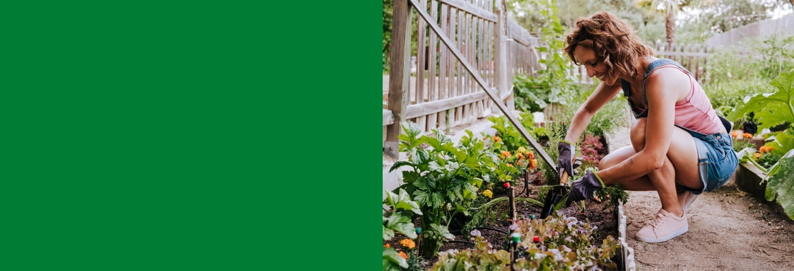 Eine Person arbeitet mit einer kleinen Schaufel in einem Gartenbeet.